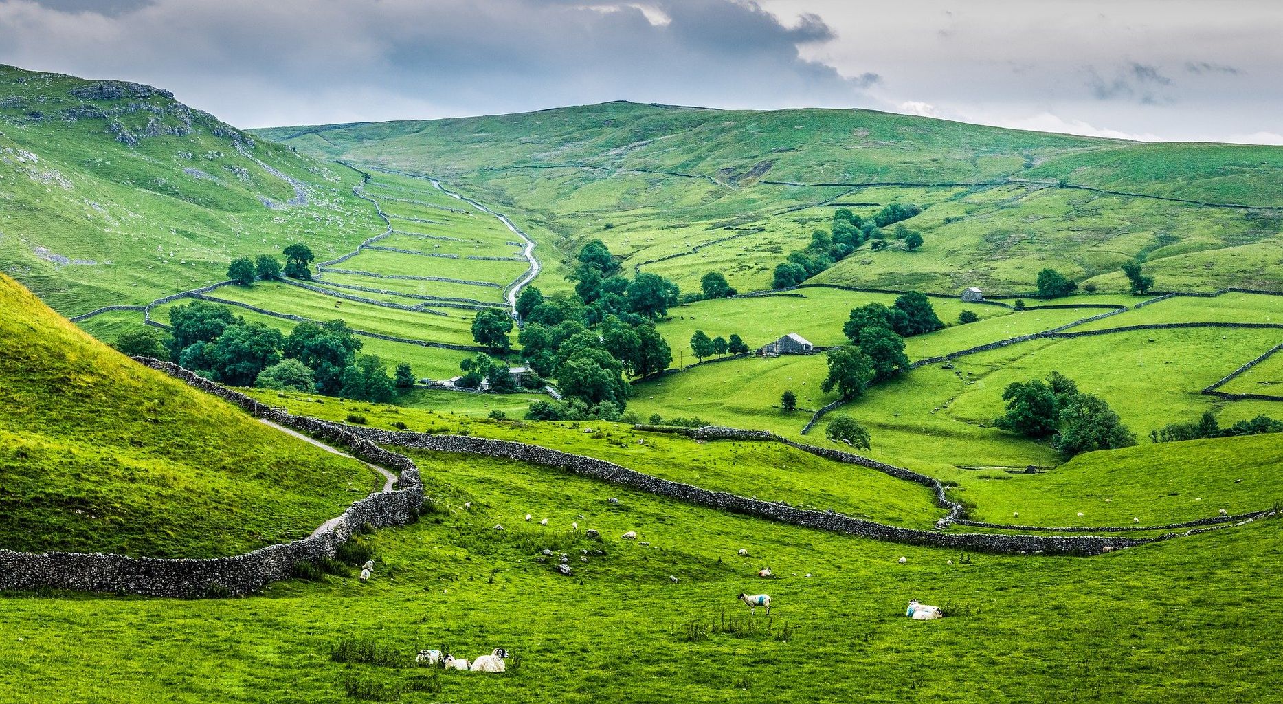 Yorkshire Dales National Park reviews priorities after funding cuts